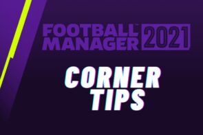FM 21 Corner Tips