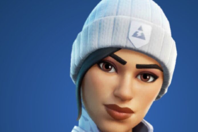 Fortnite Frost Squad Skin