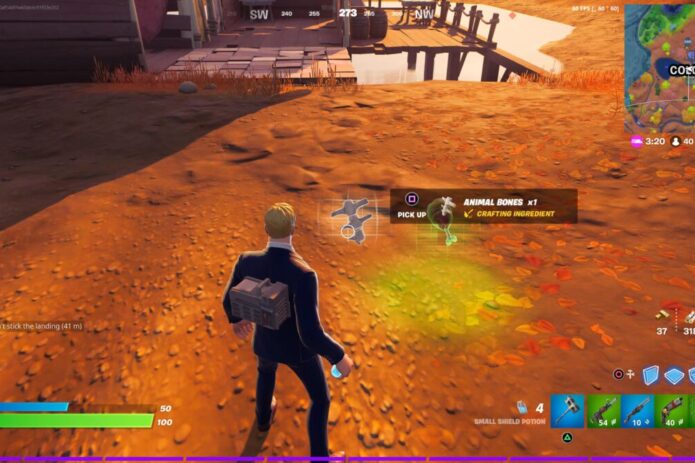 Fortnite Animal Bones