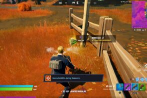 Fortnite Frogs