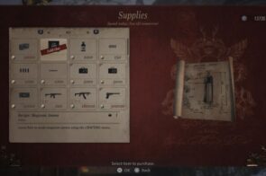 Recipe Magnum ammo