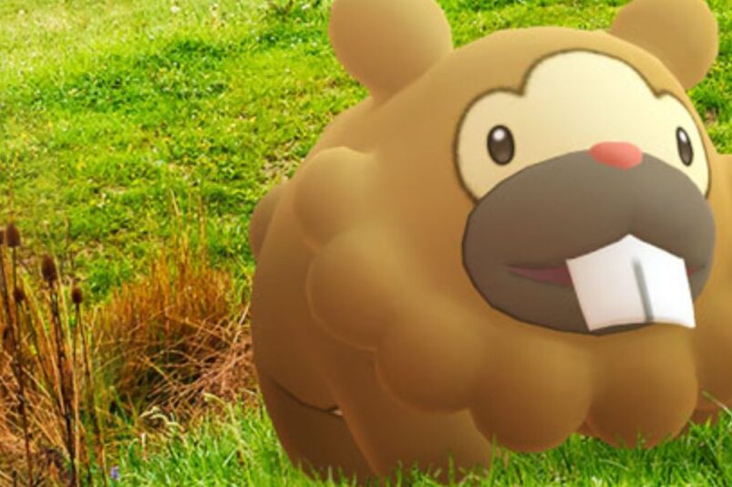 Bidoof