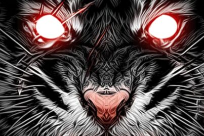 Life of Black Tiger