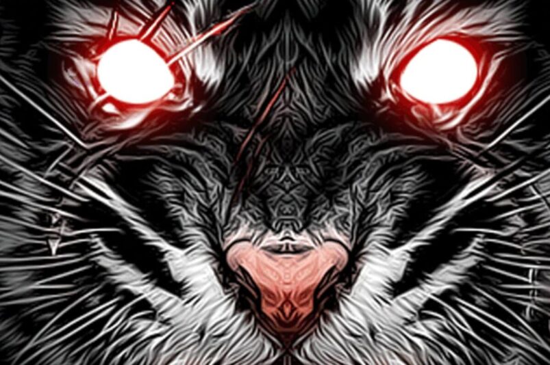 Life of Black Tiger