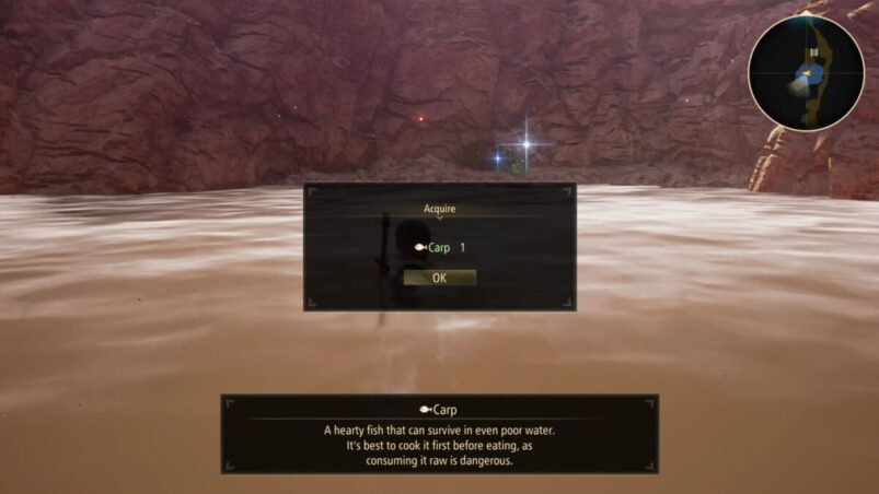 Tales of Arise Carp