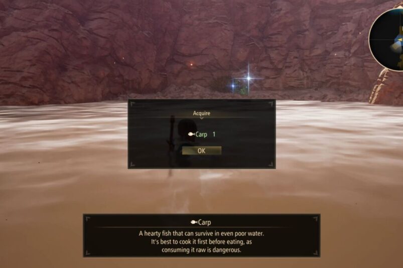 Tales of Arise Carp