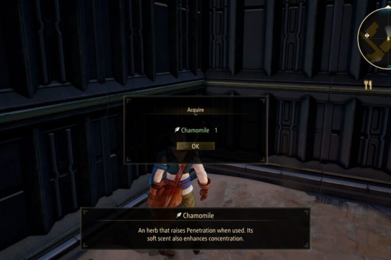Tales of Arise Chamomile