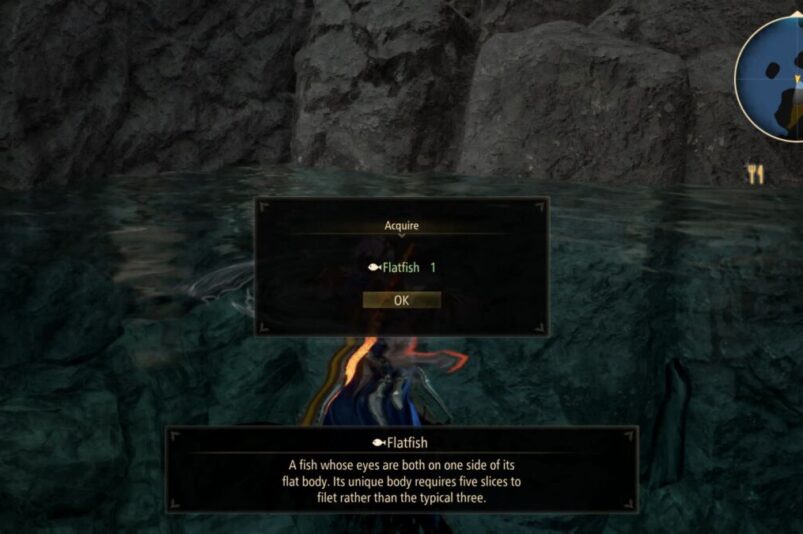 Tales of Arise Flatfish