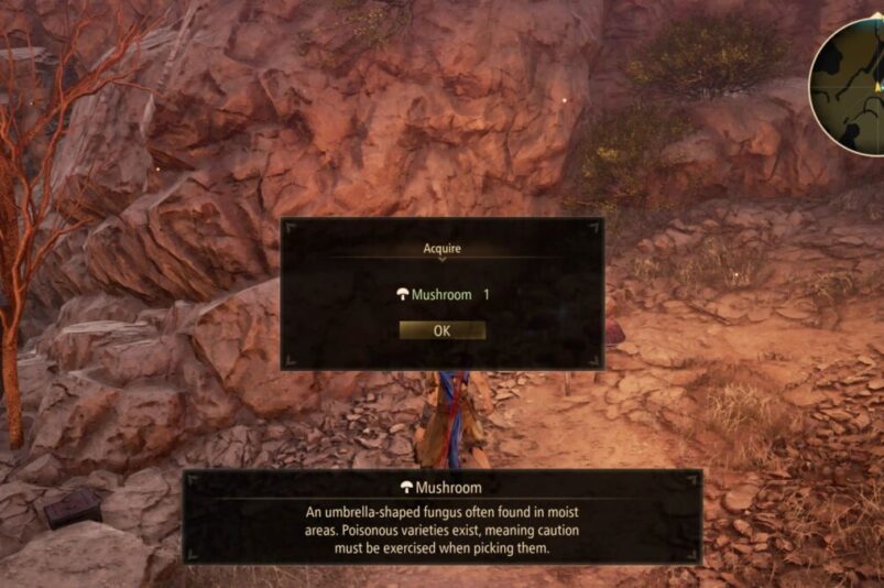 Tales of Arise Mushroom