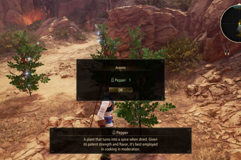 Tales of Arise Pepper