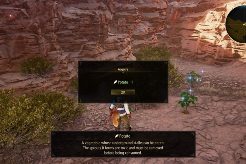Tales of Arise Potato