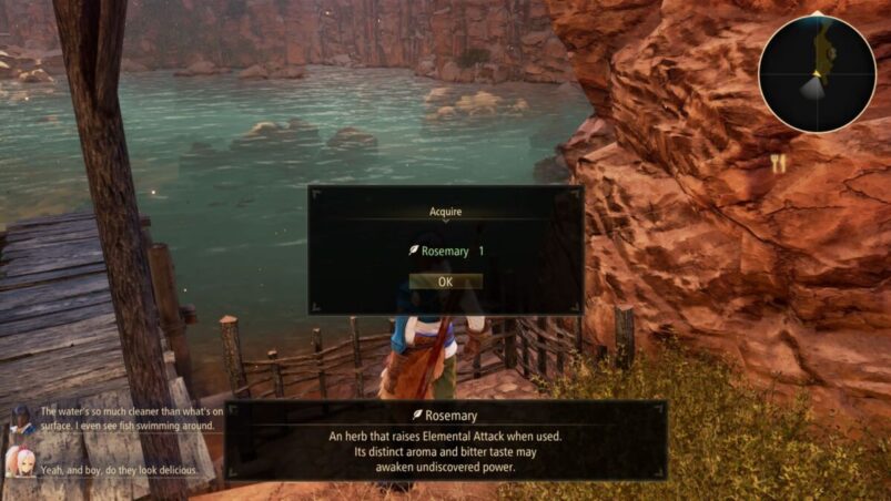 Tales of Arise Rosemary