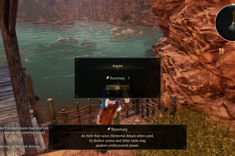 Tales of Arise Rosemary