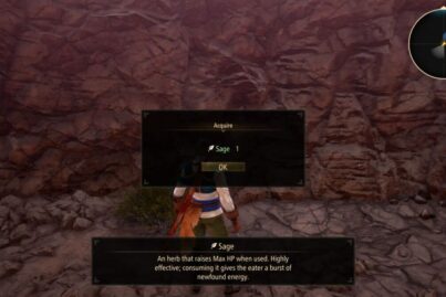 Tales of Arise Sage
