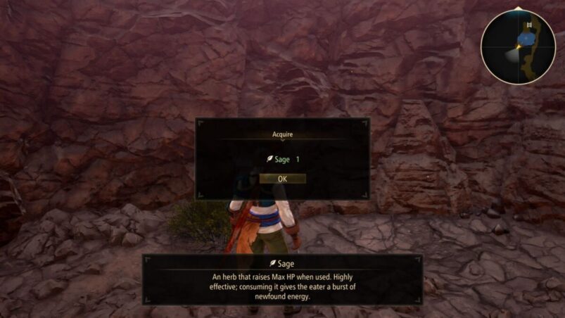 Tales of Arise Sage