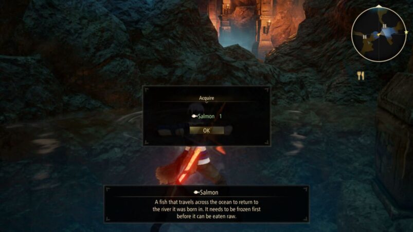 Tales of Arise Salmon