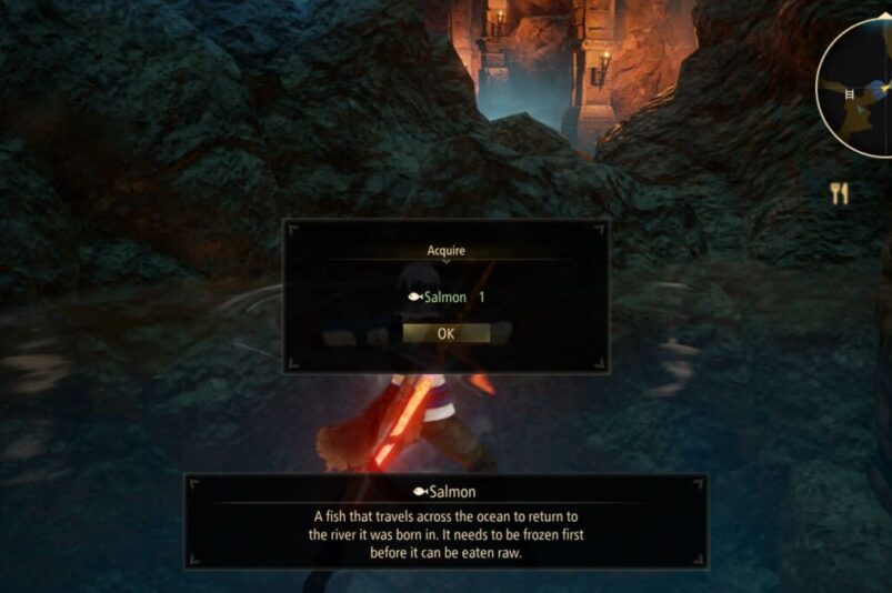 Tales of Arise Salmon