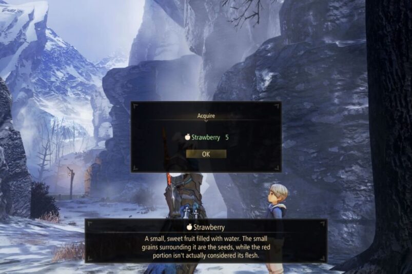 Tales of Arise Strawberry