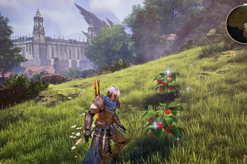 Tales of Arise Tomato