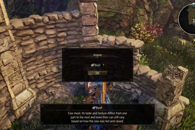 Tales of Arise beef