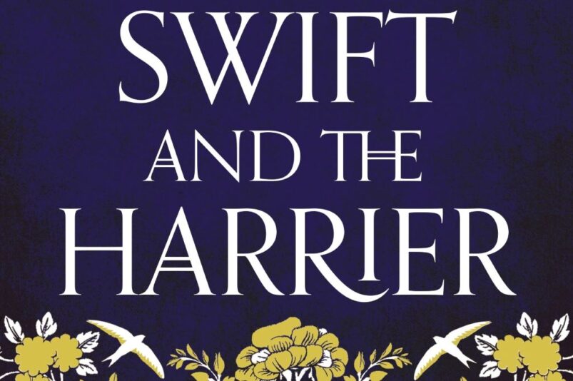 The Swift And The Harrier