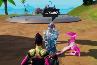 Fortnite The Visitor NPC
