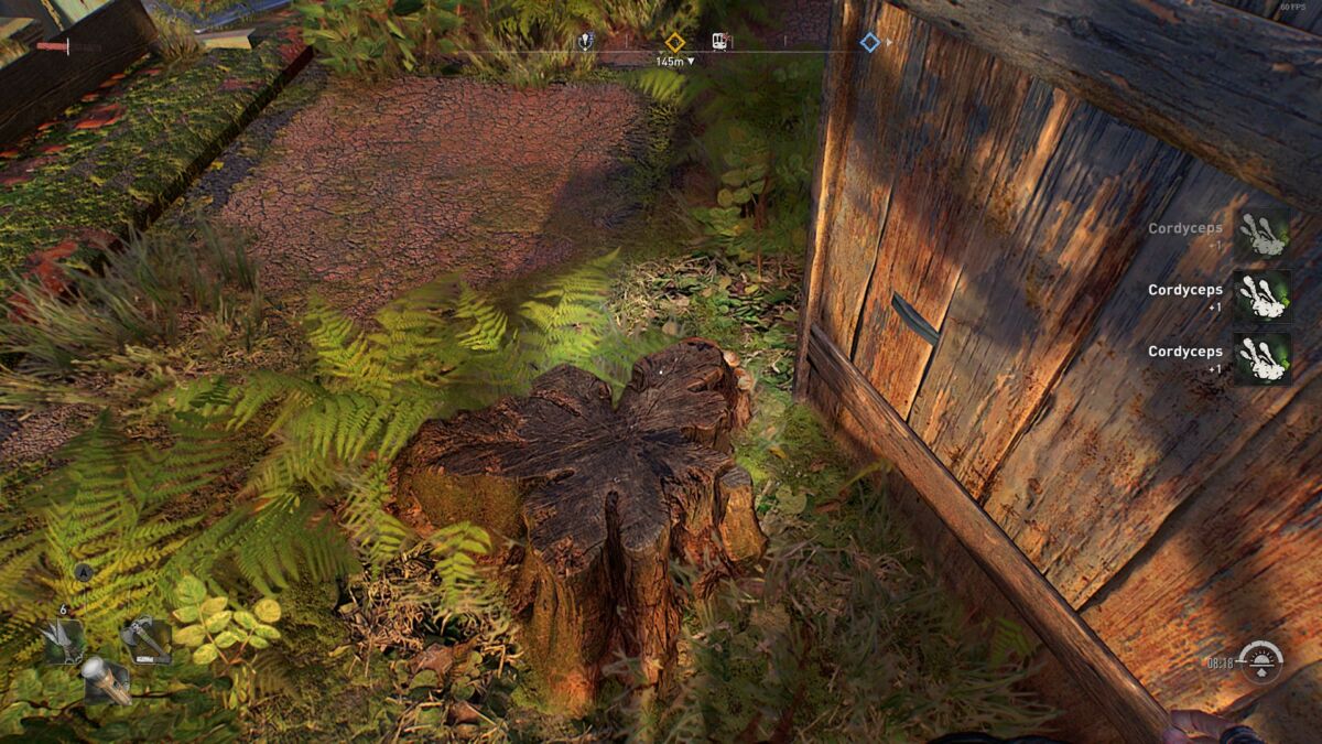 Dying Light 2 Cordyceps