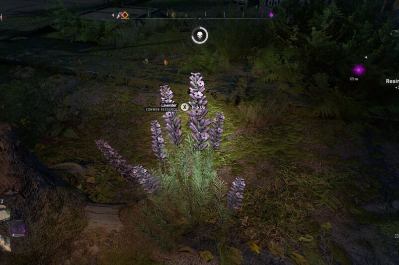 Lavender Dying Light 2