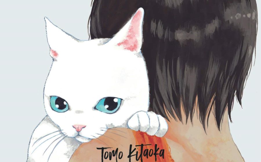 8 Best Manga For Cat Lovers