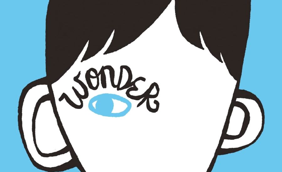 Wonder