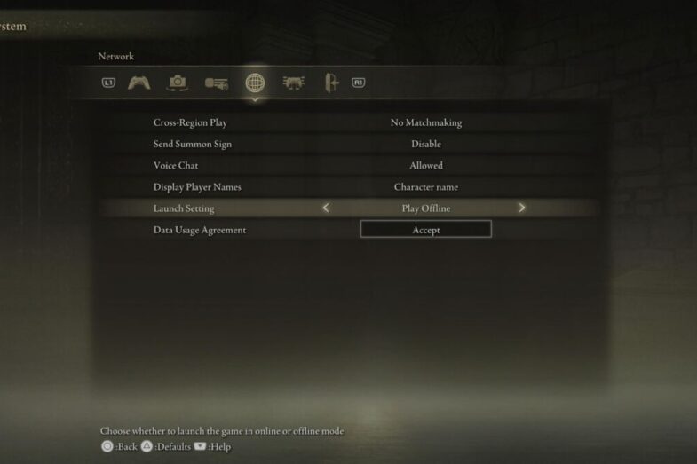 Elden Ring play offline