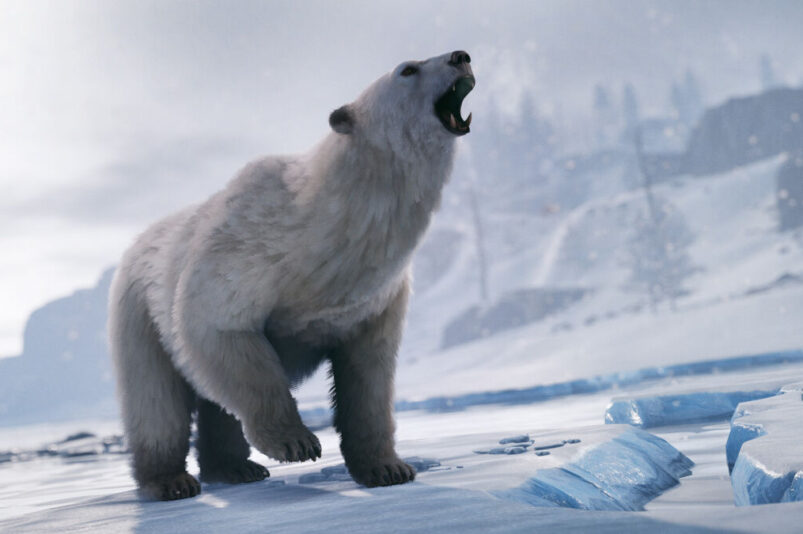 Polar Bear