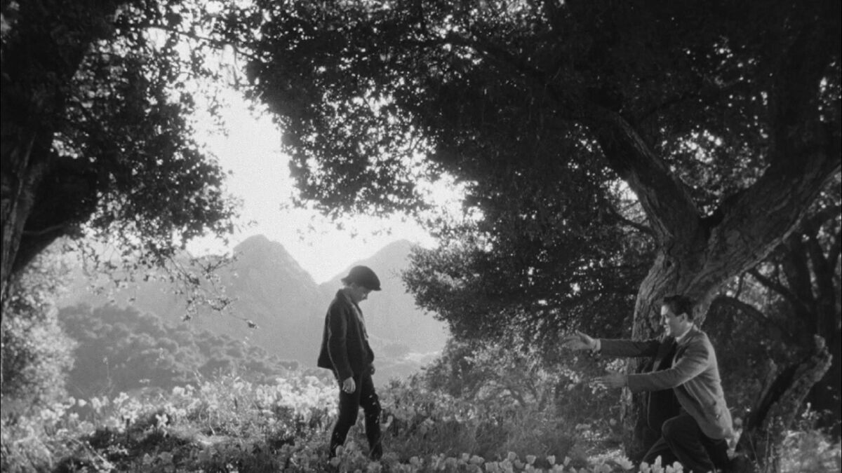 How Green Was My Valley (1941)