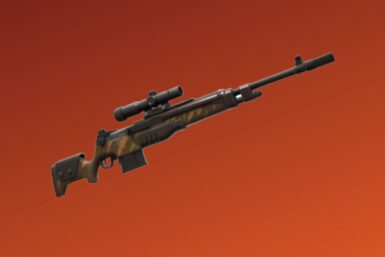 Fortnite DMR