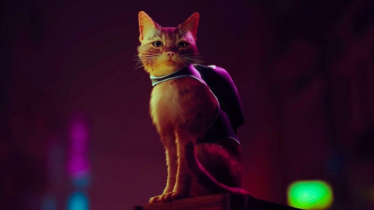 Stray PlayStation 5 game stars detective cat in lead role