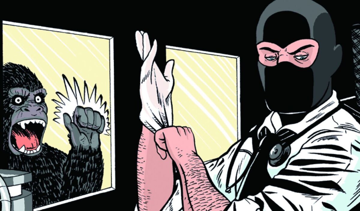 The Adventures of Dr McNinja