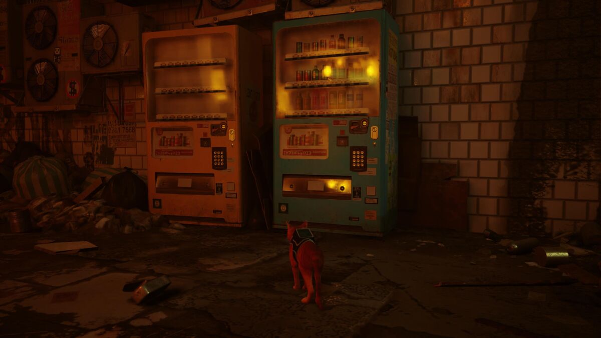 Stray Where To Find Energy Drinks Cultured Vultures