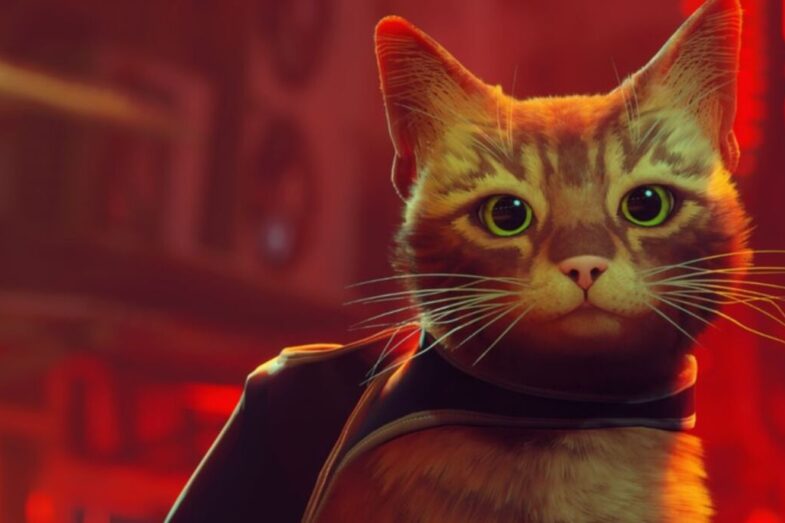 Stray game