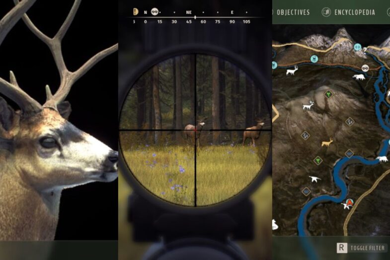 Way of the Hunter money