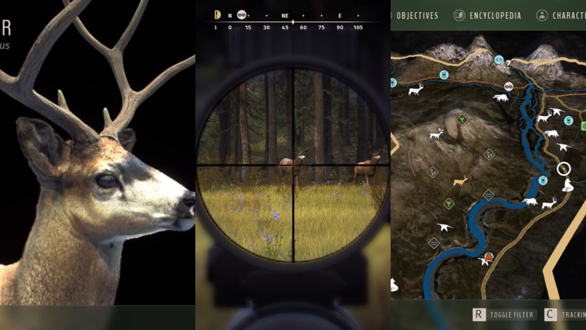 Beginner Tips for theHunter: Call of the Wild