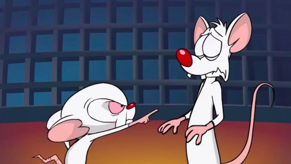 spinoff Pinky and the Brain