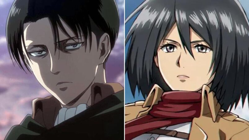 Are Levi and Mikasa Related In Attack on Titan? - Cultured Vultures