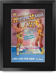 Framed WWE poster