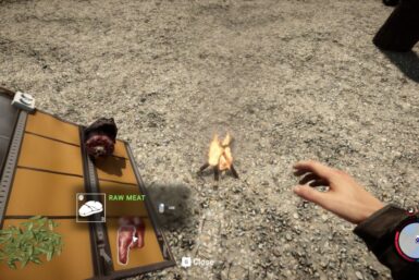 Sons of the Forest Cook Meat