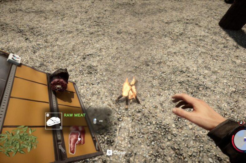 Sons of the Forest Cook Meat