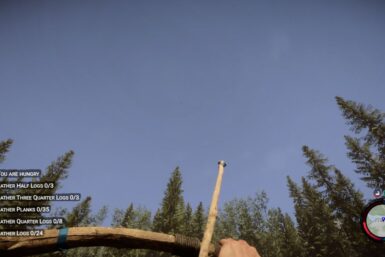 Sons of the Forest bow