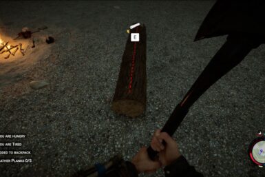 Sons of the Forest planks