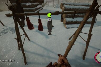 Sons Of The Forest fish