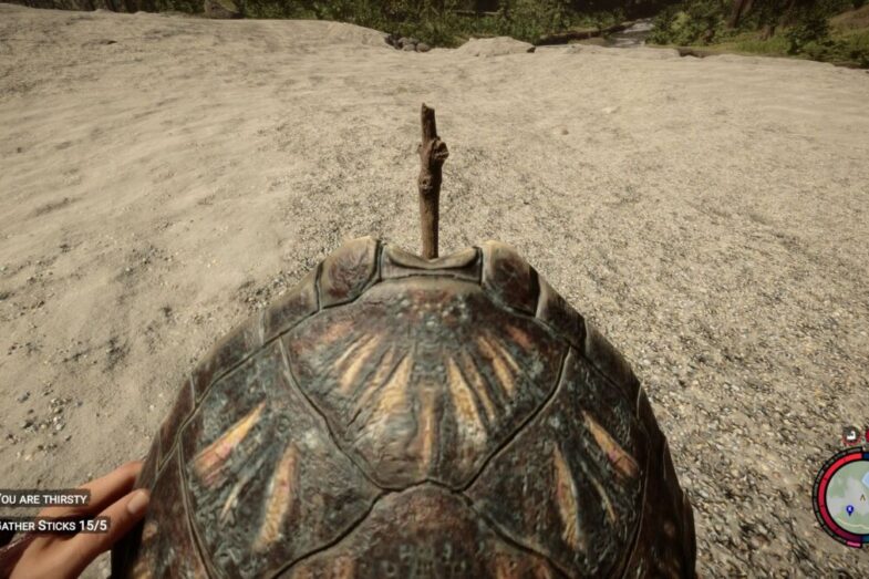 Sons Of The Forest Turtle Shell