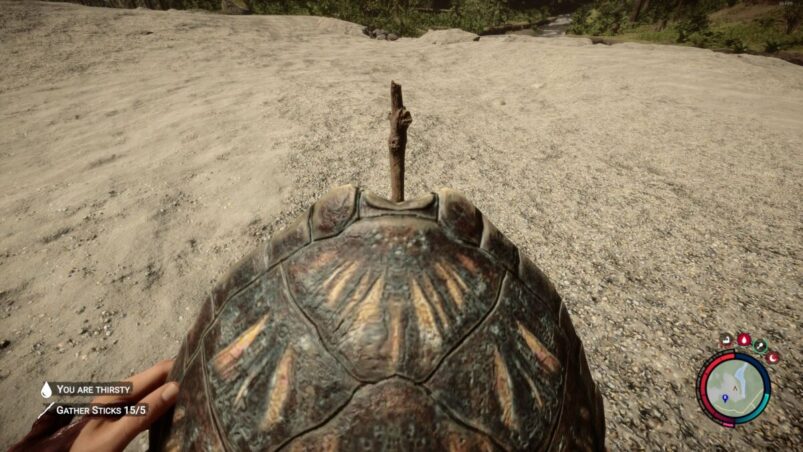 Sons Of The Forest Turtle Shell